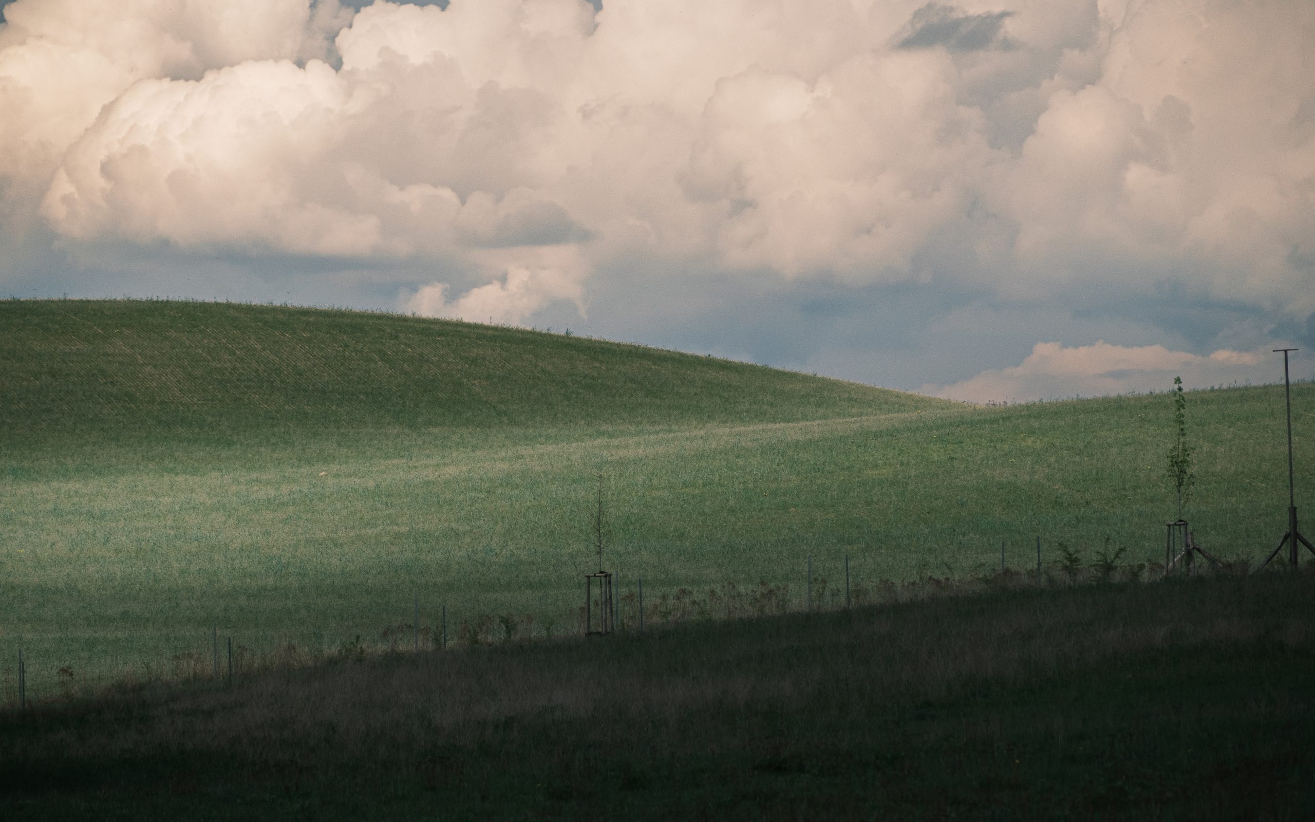 Natur