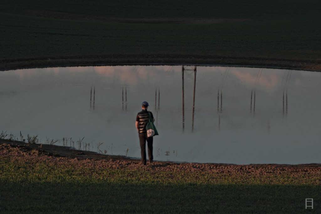 Natur Fotografie