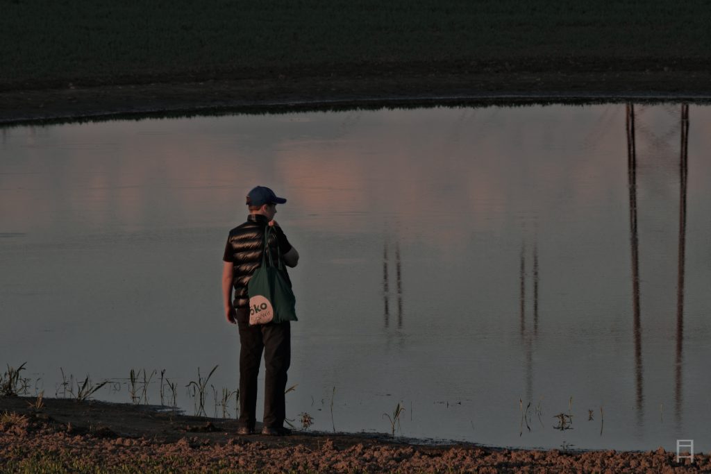 Natur Fotografie